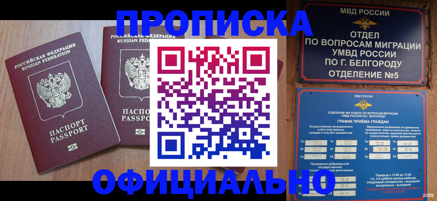 найти адрес прописки в Советской Гавани